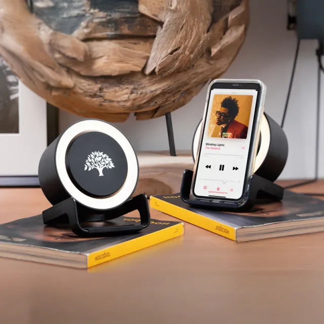 4270 Wireless Şarj & Hoparlör Siyah